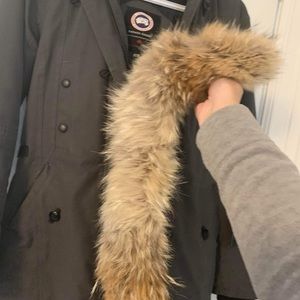 Authentic used Canada Goose Coat- XS.